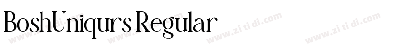 BoshUniqurs Regular字体转换